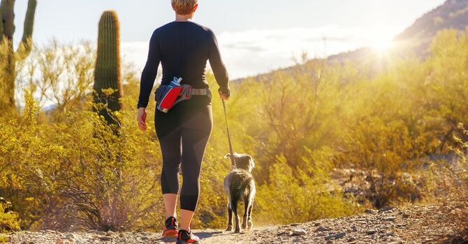 Restoring Healing and Mobility — A  Premier Shockwave Clinic Perspective